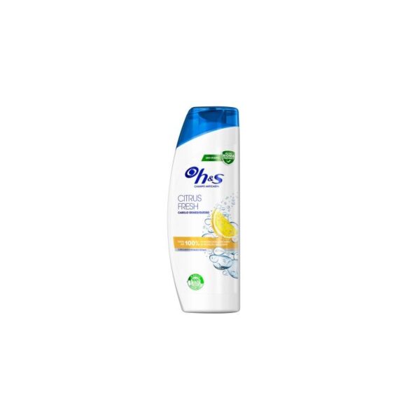H&S CITRUS FRESH 400ML